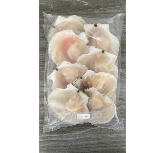 SÒ NỮA MẢNH SIZE 08-10 con/kg 